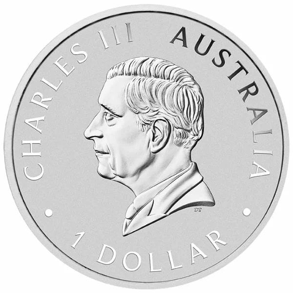 Australian EMU 2024 Color Silbermünze*