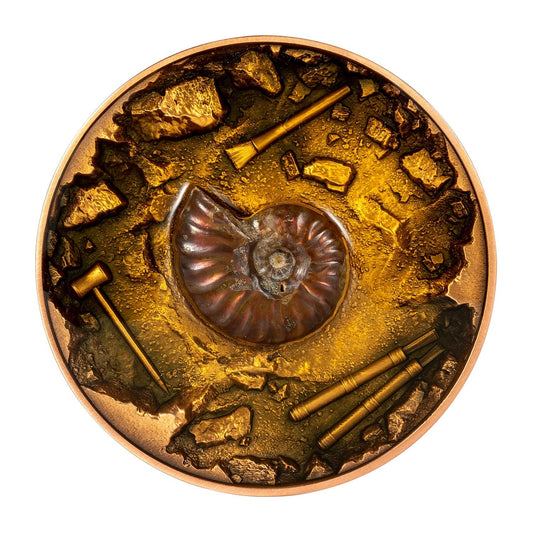 Chad 2023 Ammonite Fossil 1oz Silbermünze *