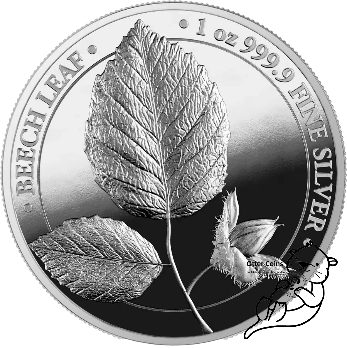 Germania Mint Buchen Leaf 1 Oz Silbermünze 2023 Proof