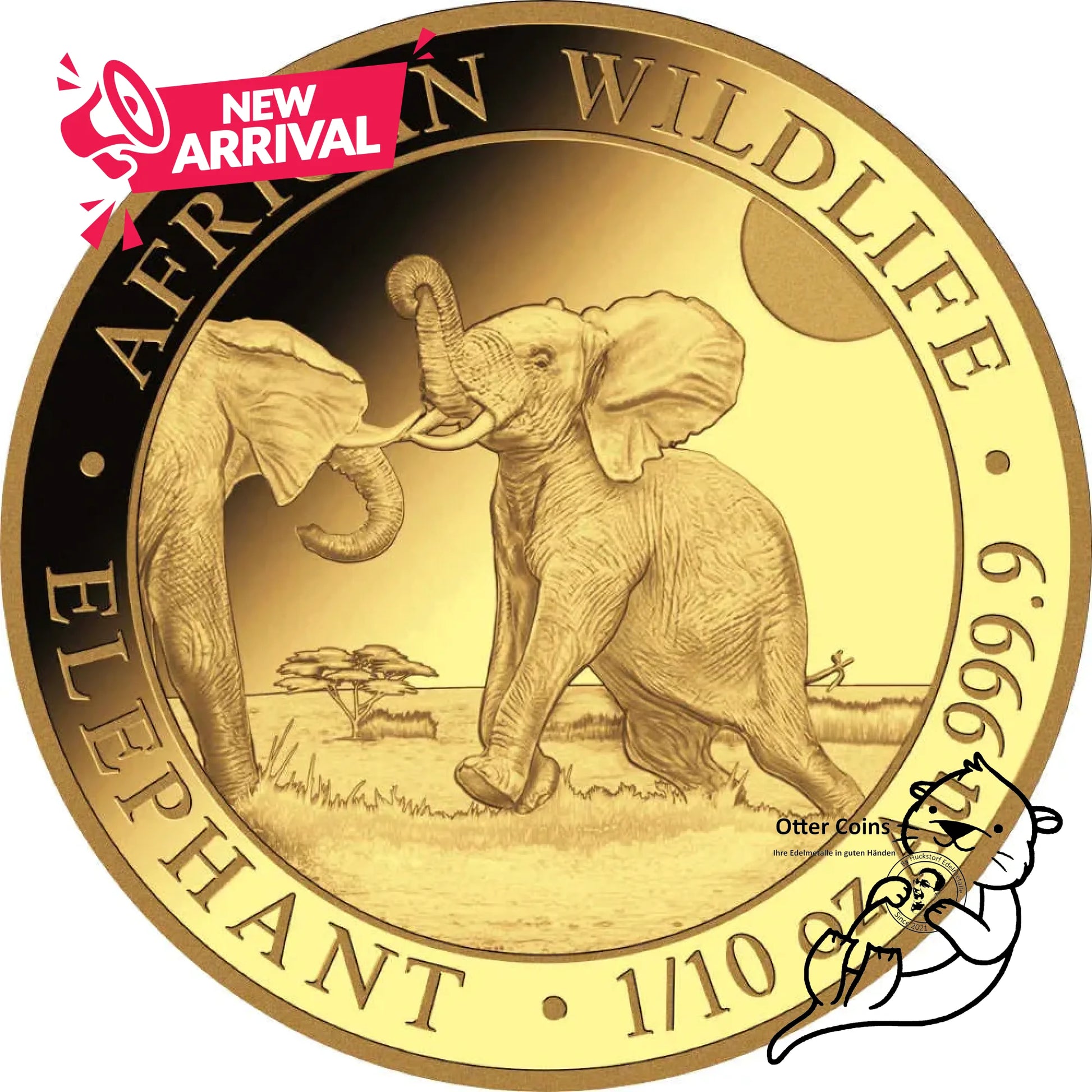 Somalia Elefant 1/10 oz Goldmünze 2024**