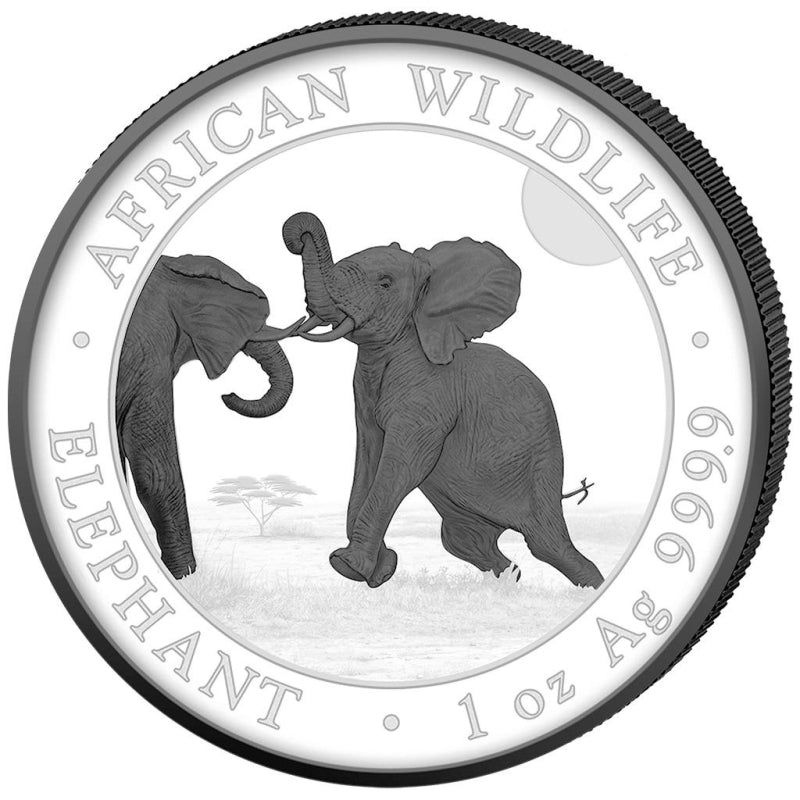 Somalia Elefant 2024 Black & White 2x1oz Silbermünze