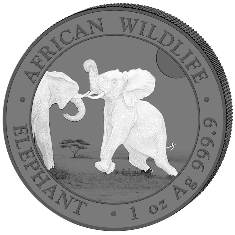 Somalia Elefant 2024 Black & White 2x1oz Silbermünze