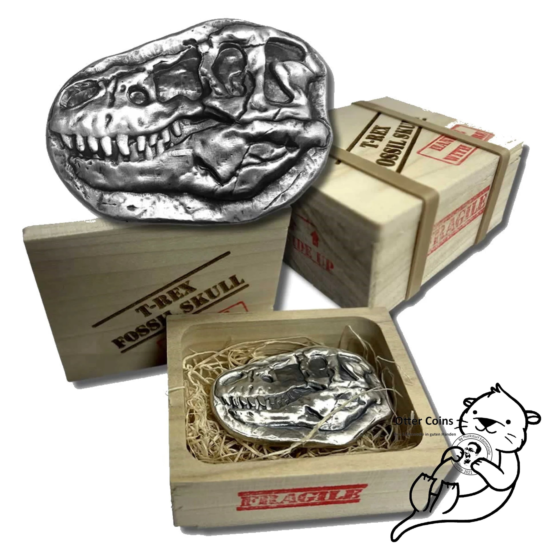 T-Rex Dinosaurier Kopf mit Holzkiste 3 oz Silber 999