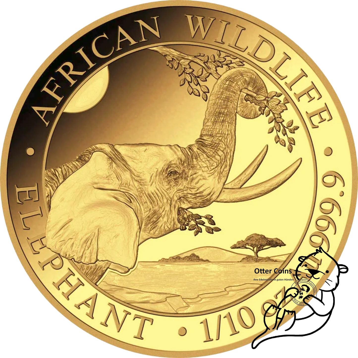 Somalia Elefant 1/10 oz Goldmünze 2023**