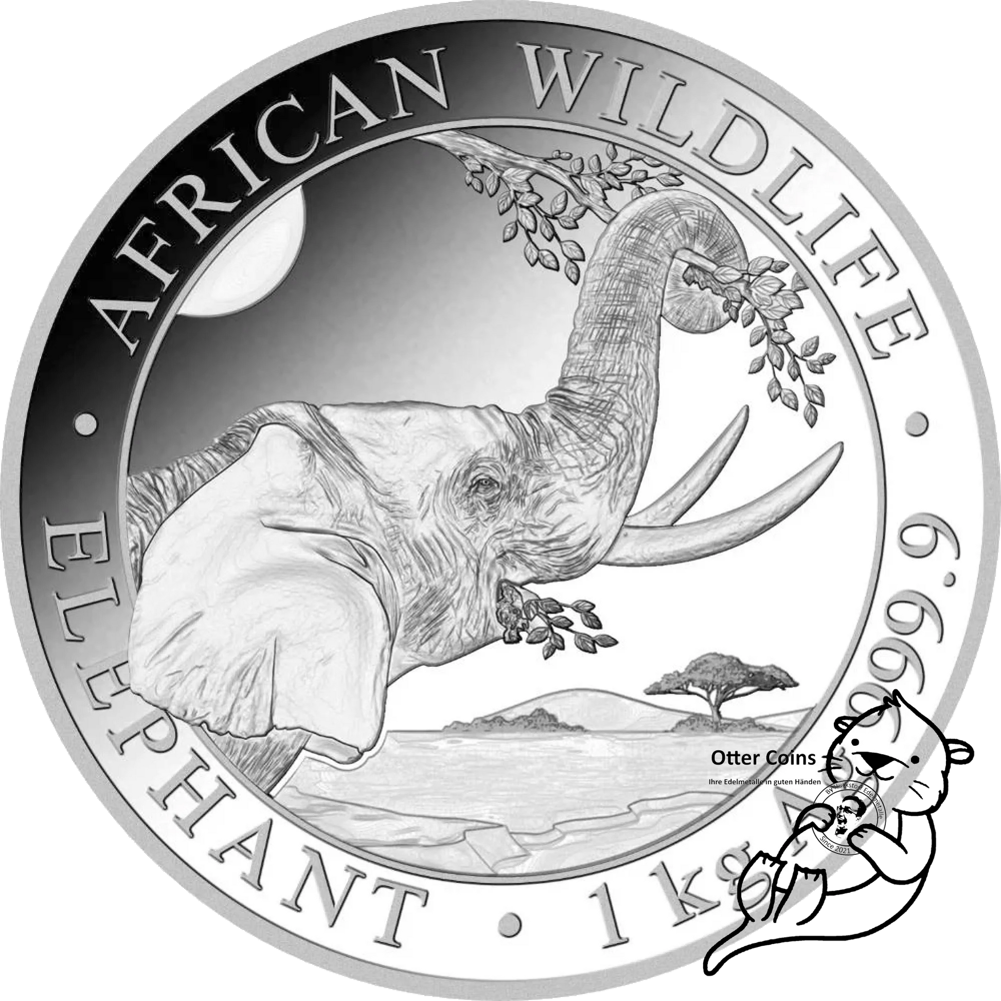 Somalia Elefant 1 kg Silbermünze 2023